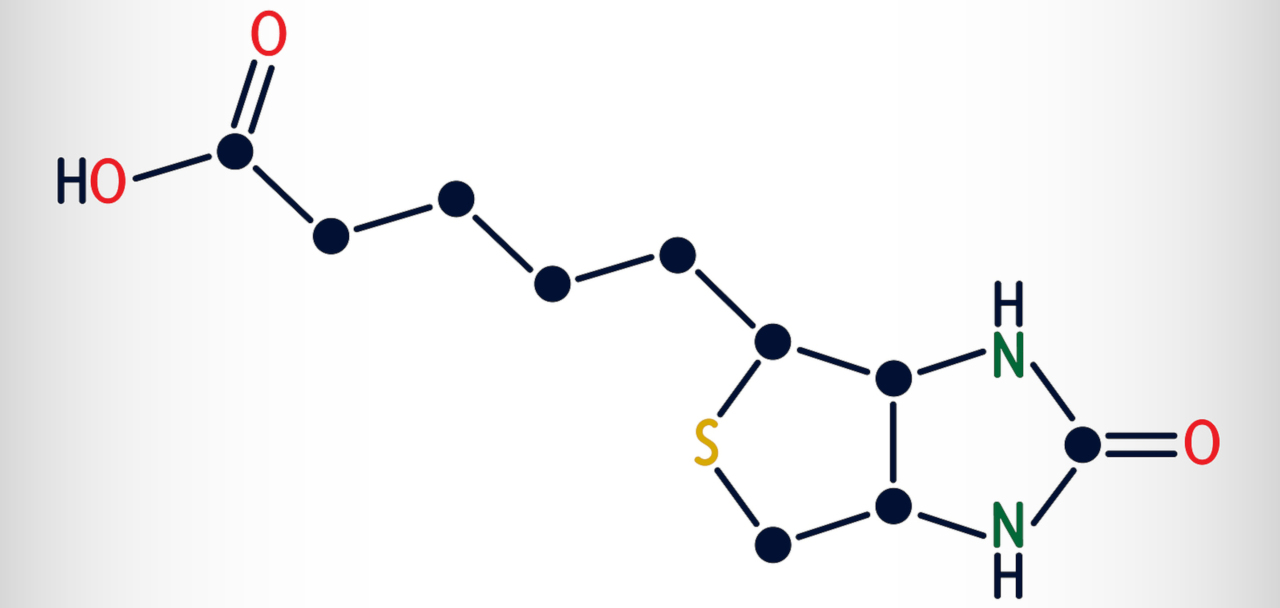 structure chimique de la biotine