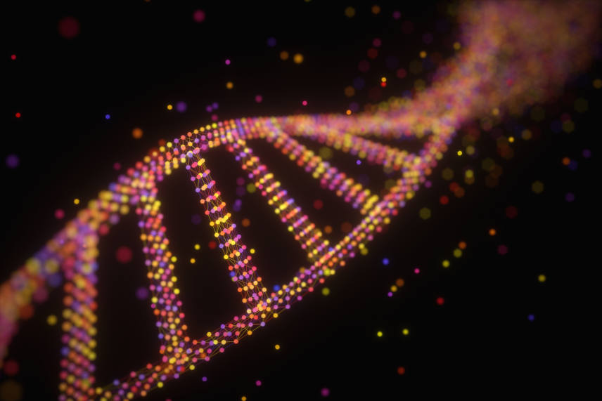 image d’une séquence d’adn, contenant d’éventuels marqueurs génétiques de la calvitie héréditaire