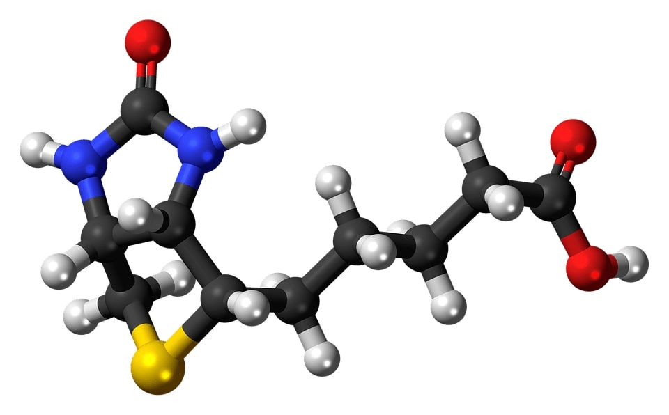 La biotine pour cheveux est-elle efficace
