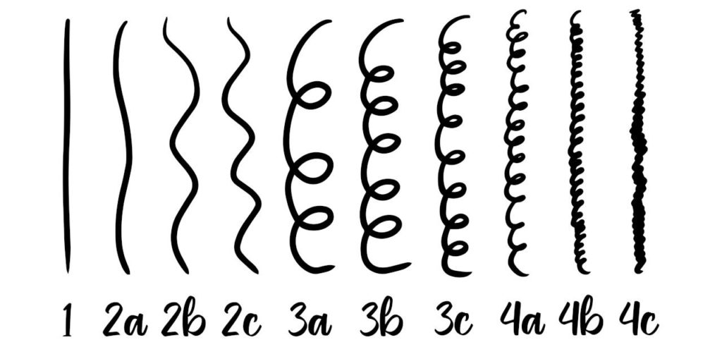 infographie sur les differents type de cheveux