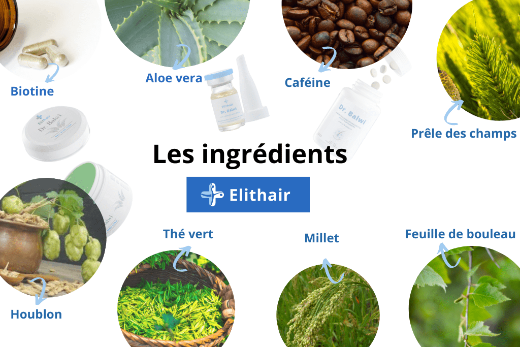 les extraits de plantes font partie des ingrédients principaux de la gamme capillaire anti-chute Elithair