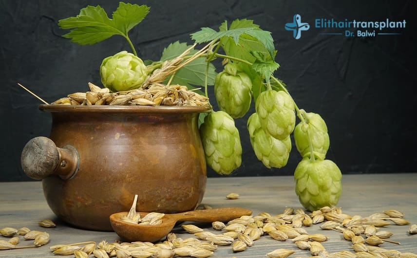 Hopfen Extrakt gegen Haarausfall