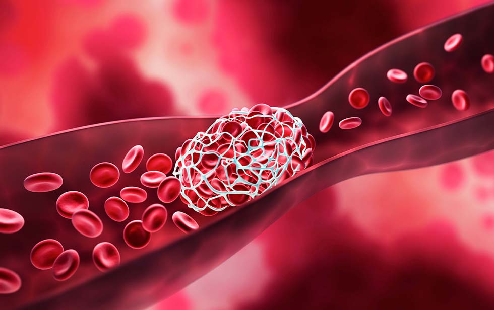 Die Blutzirkulation von roten Blutkörperchen