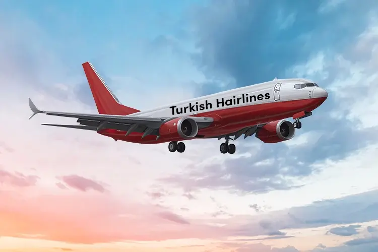 Flugzeug mit der Aufschrift Turkish Hairlines fliegt am Himmel