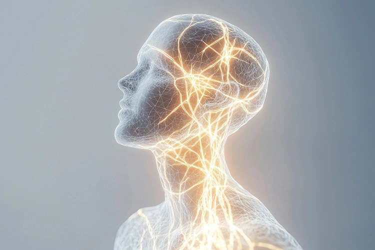 Holographische Darstellung von Nervenbahnen im menschlichen Gehirn – symbolisiert die Verbindung zwischen Geist, Körperwahrnehmung und neurologischer Aktivität.
