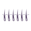 Haartransplantation Türkei
