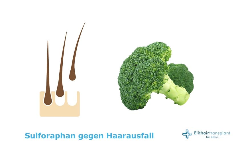 Sulforaphan gegen Haarausfall