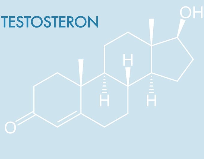 Testosteron kann für Haarausfall sorgen Die chemische Formel für Testosteron auf blauem Hintergrund