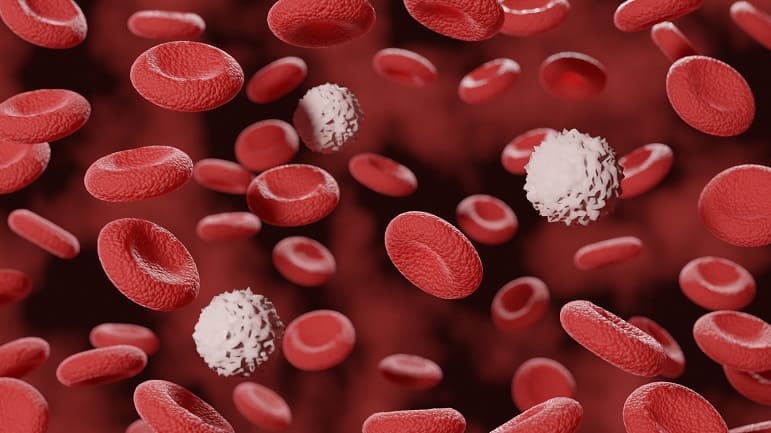 Strömung der roten Blutzellen in menschlicher Vene in 3D Ansicht