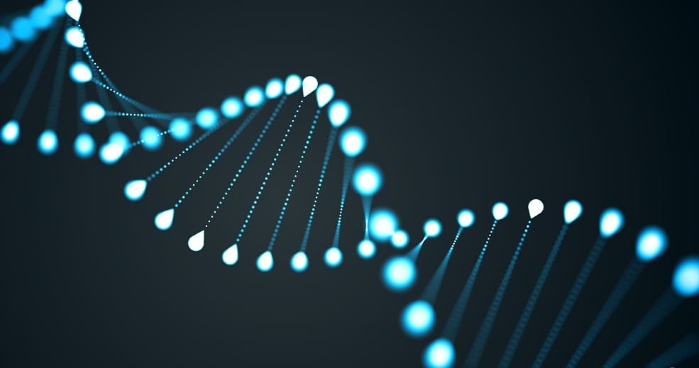 DNA Spirale eines Chromosom Moleküls in 3D