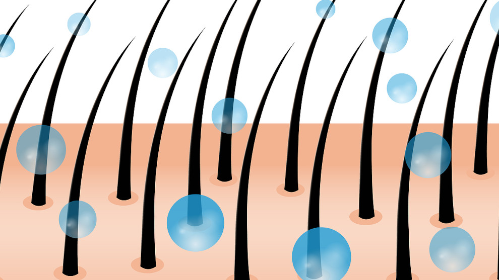 Animation zeigt wie eine Anti Haarausfall Kur an den Haarwurzeln wirkt