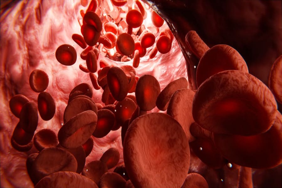 un vaso sanguigno dilatato pieno di cellule del sangue