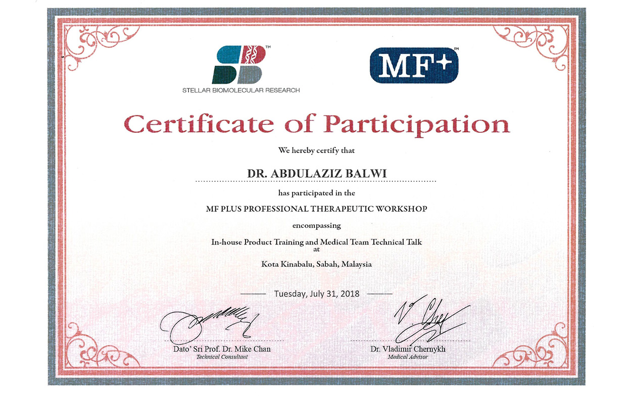certificato partecipazione al MF Plus Workshop