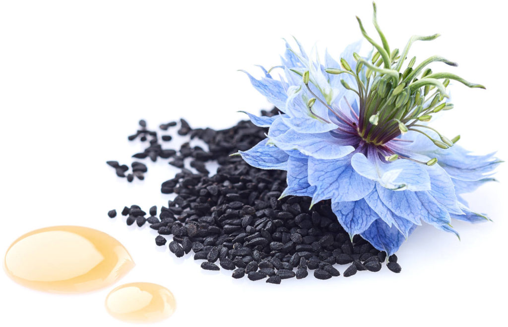 black seed oil is derived from the nigella sativa flower